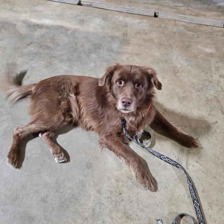 611597062_1331304989030516_1986252853480139992_n