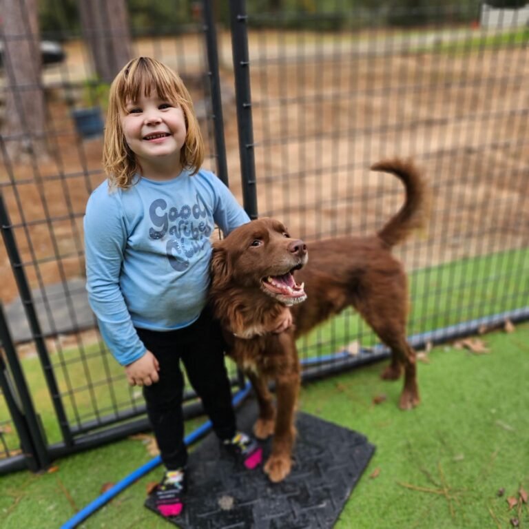 612913526_1331304972363851_692050398497654908_n