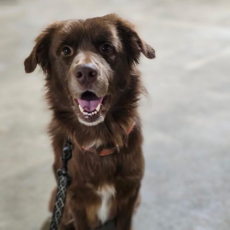 613106044_1331304979030517_1540452098100818494_n