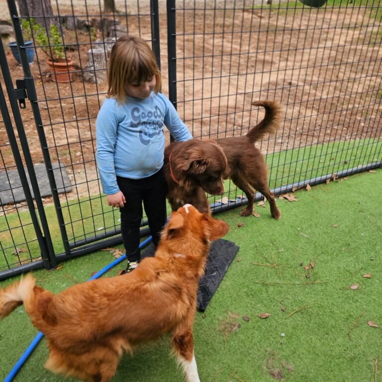 613354730_1331304985697183_7538823716947219743_n