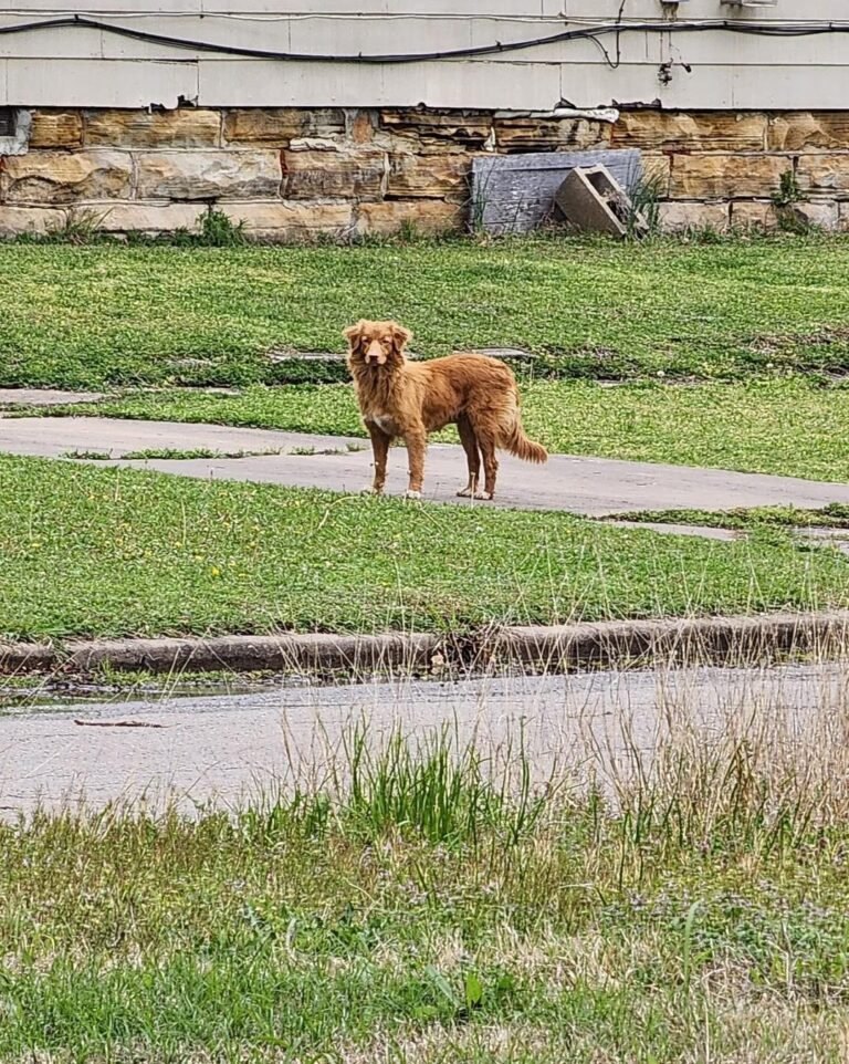 642368862_1375649984596016_4075452804947459267_n