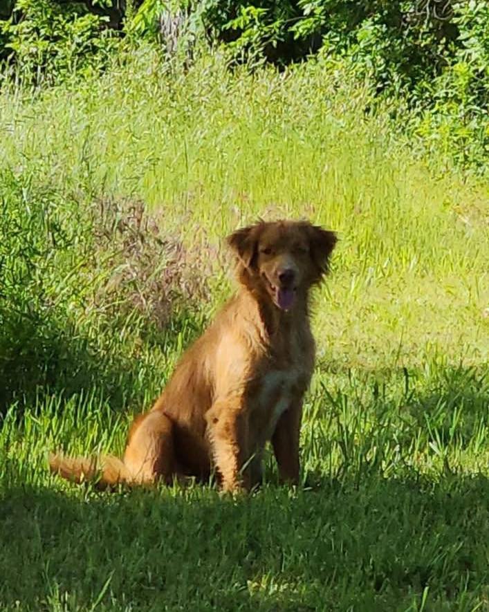 645197308_1375649927929355_5934634915991157209_n