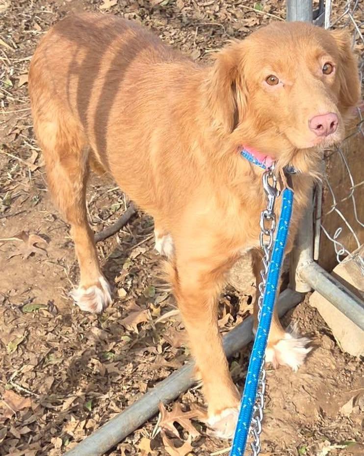 645279619_1375649974596017_6529646242908667628_n