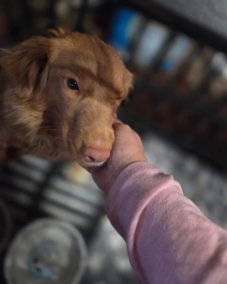 645571868_1375649921262689_6768155251800278706_n