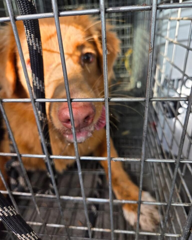 645627554_1375649971262684_1275153176559454589_n